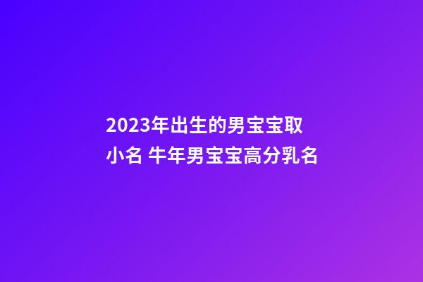 2023年出生的男宝宝取小名 牛年男宝宝高分乳名